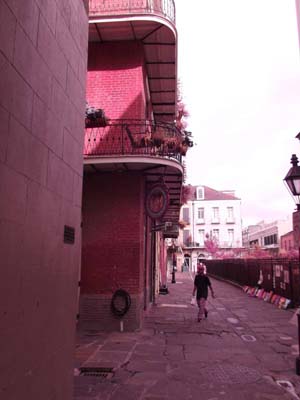 New Orleans Ghosts and Hauntings New Orleans Haunted Places and